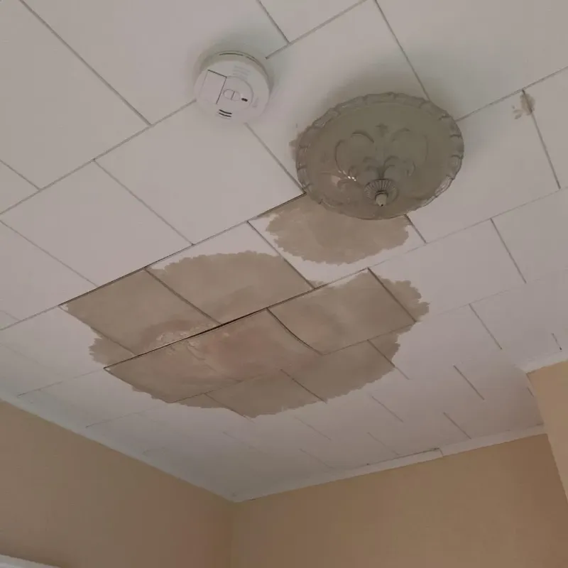 Ceiling Water Damage Repair in Luyando, PR