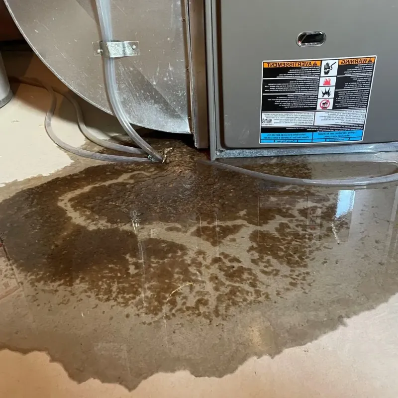 Pipe Burst and Leak Restoration in Luyando, PR