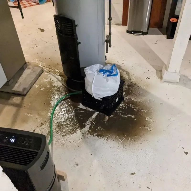 Sewage Backup Cleanup Service in Luyando, PR